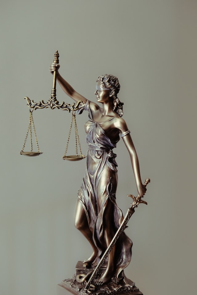 Surrogacy Laws